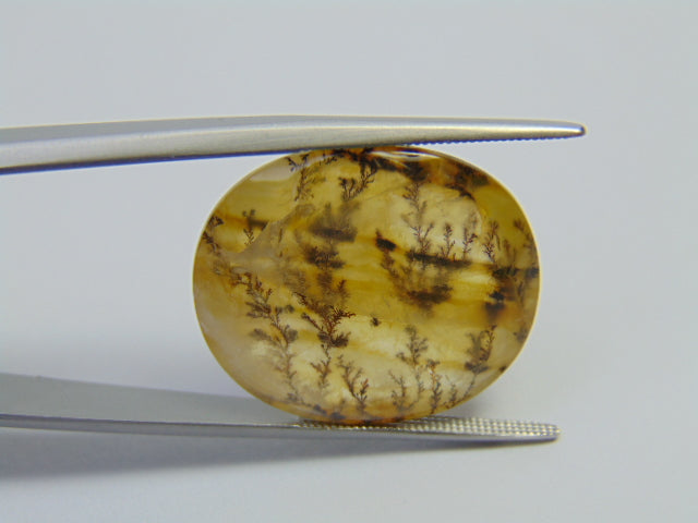 27.20ct Dendrita 23x20mm