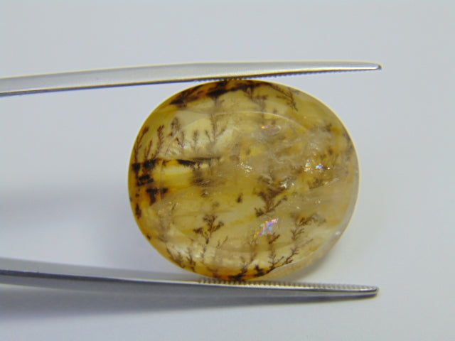 27.20ct Dendrita 23x20mm