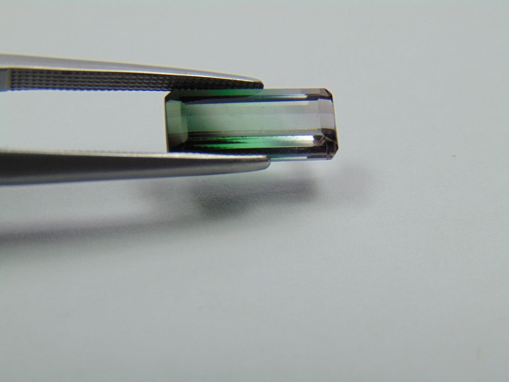 Turmalina Bicolor 2,75ct 12x5mm