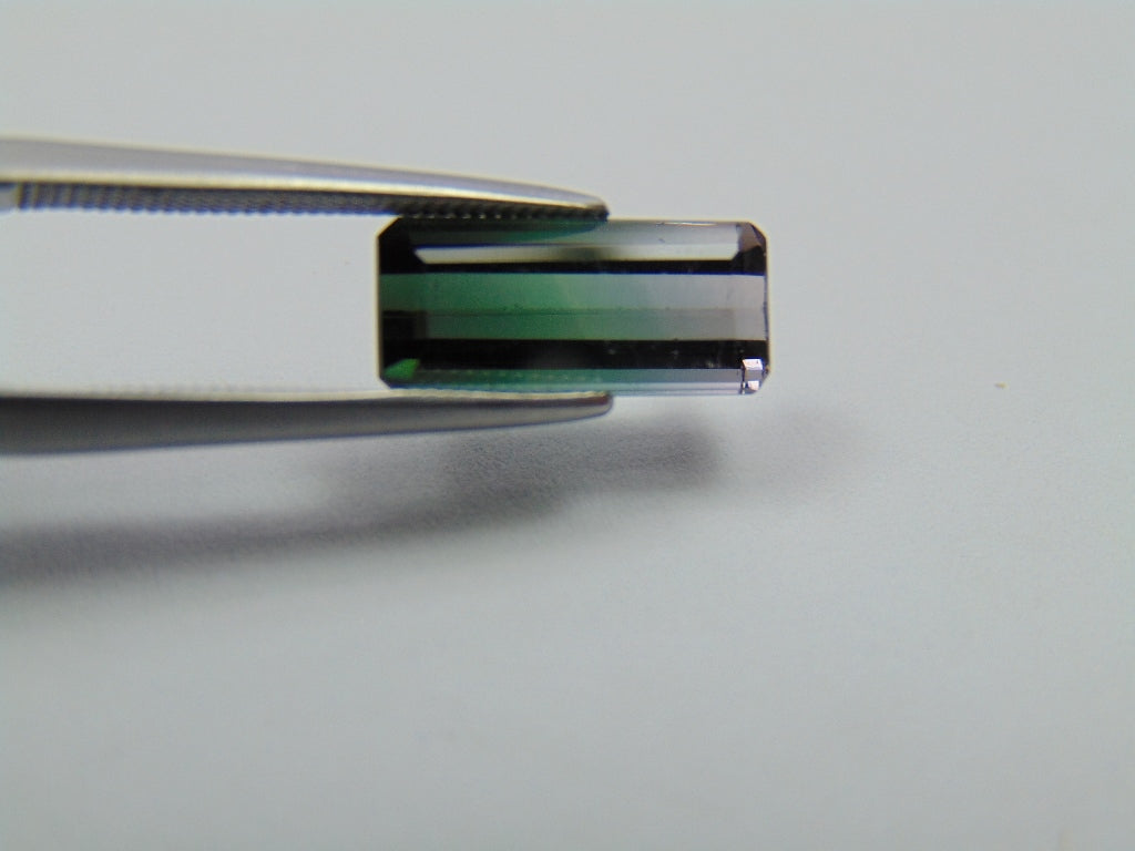 Turmalina Bicolor 2,75ct 12x5mm