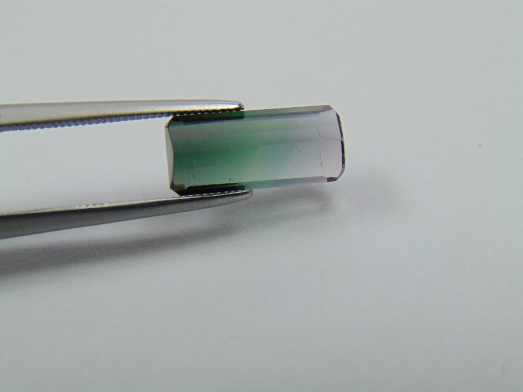 Turmalina Bicolor 2,75ct 12x5mm