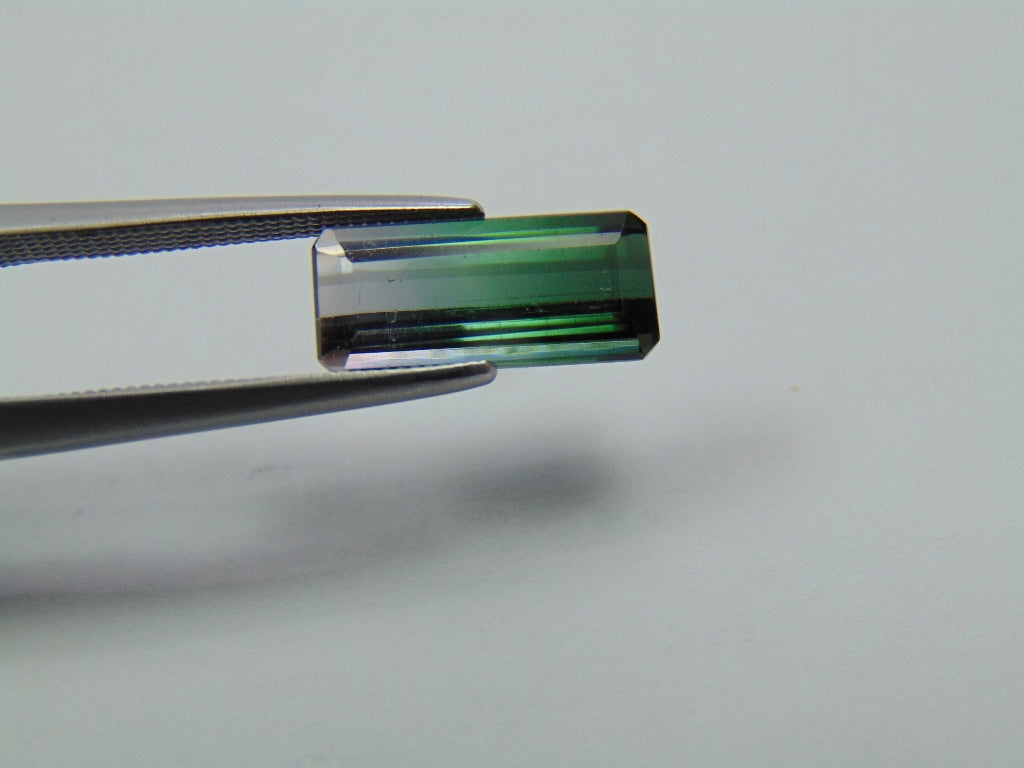 Turmalina Bicolor 2,75ct 12x5mm