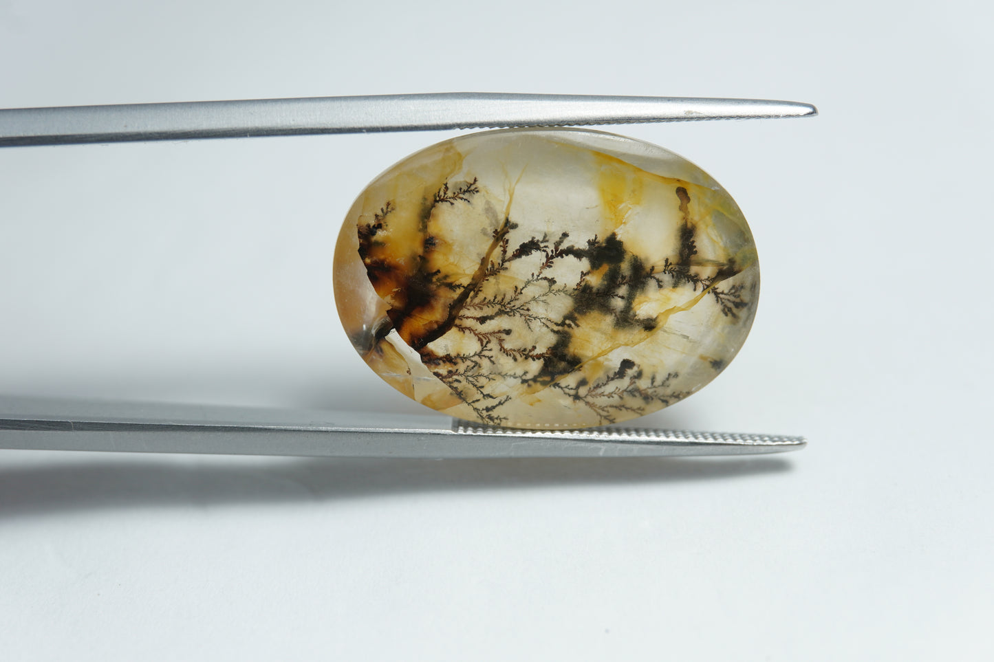 14.90ct Dendrite 22x15mm