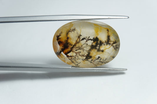 14.90ct Dendrita 22x15mm