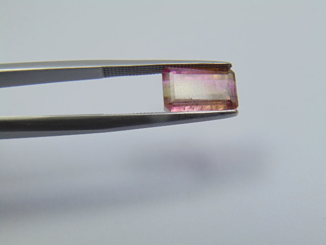 3.80ct Turmalina Bicolor 11x7mm