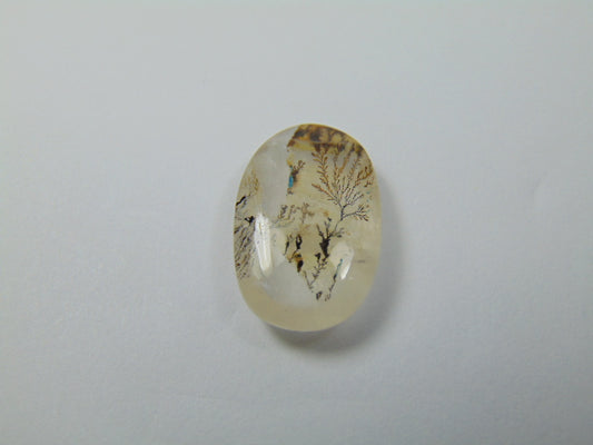 15ct Dendrita 22x15mm