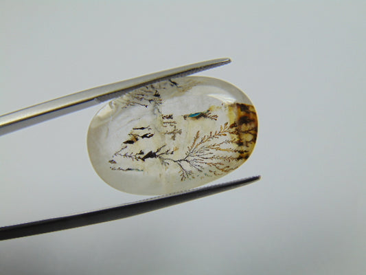 15ct Dendrita 22x15mm