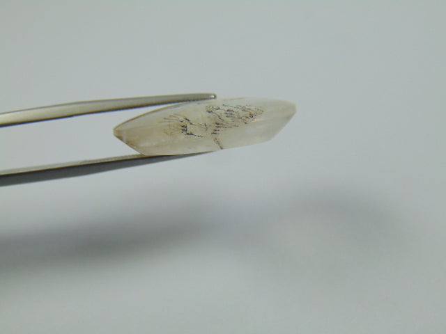 15ct Dendrite 22x15mm