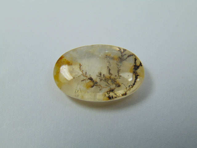 7.20ct Dendrita 18x12mm
