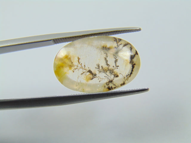 7.20ct Dendrita 18x12mm