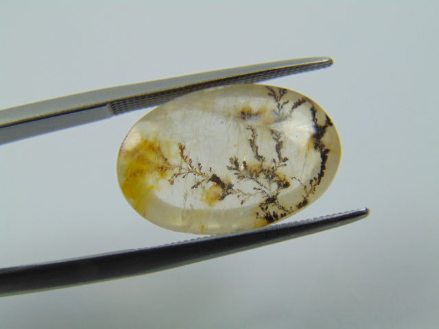 7.20ct Dendrita 18x12mm