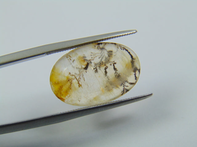 7.20ct Dendrita 18x12mm