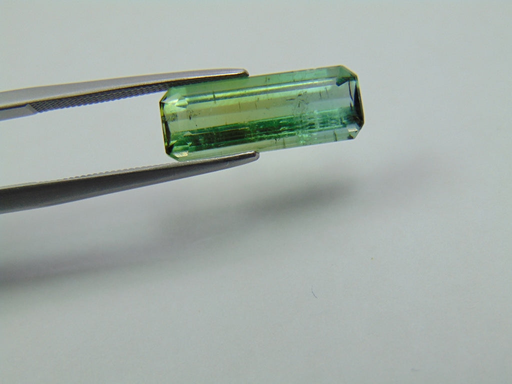 4.65ct Turmalina Bicolor 17x6mm