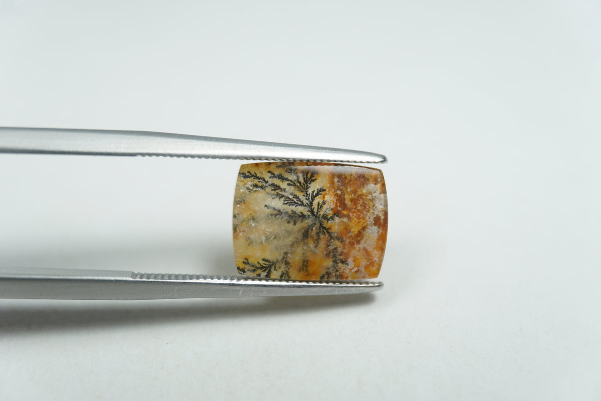 4.20ct Dendrite 11.5x9mm