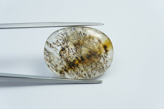 20.20ct Dendrita 25x19mm