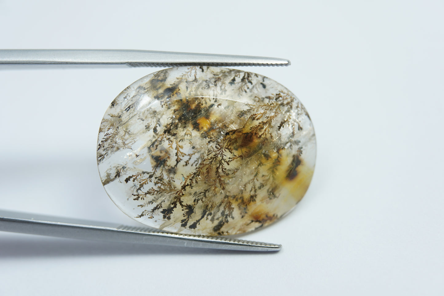 20.20ct Dendrita 25x19mm