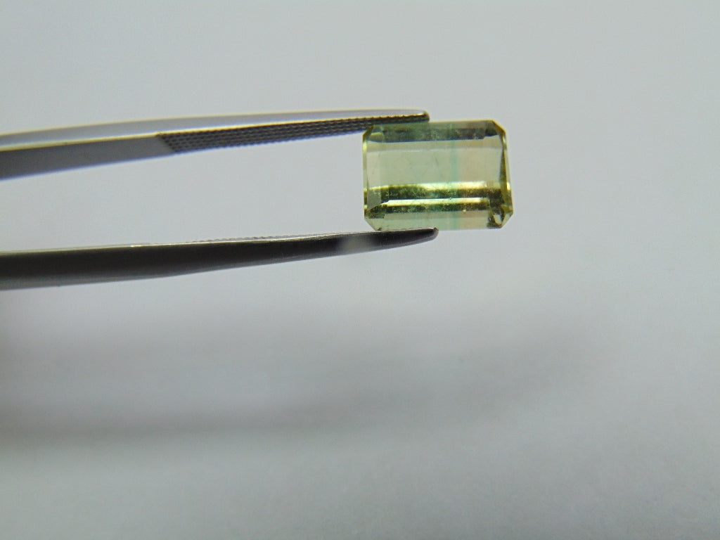 3.25ct Tourmaline Bicolor 9x7mm