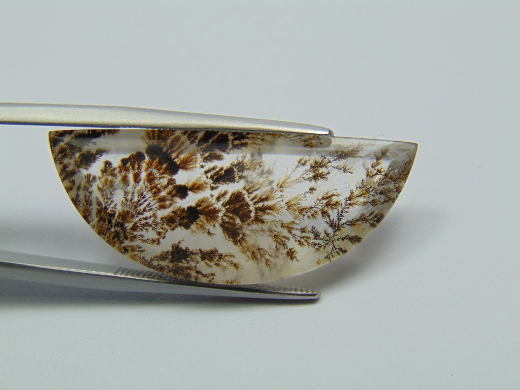 19.60ct Dendrite 33x13mm