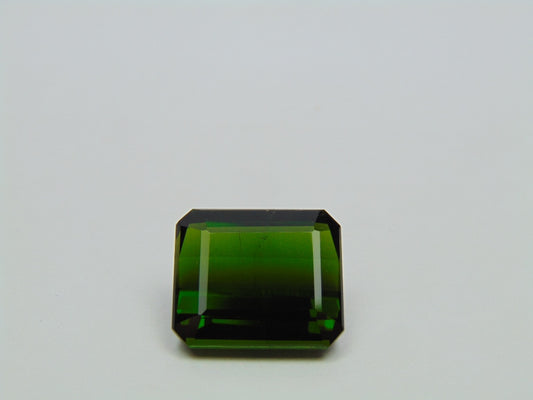 15.70ct Turmalina 16x14mm