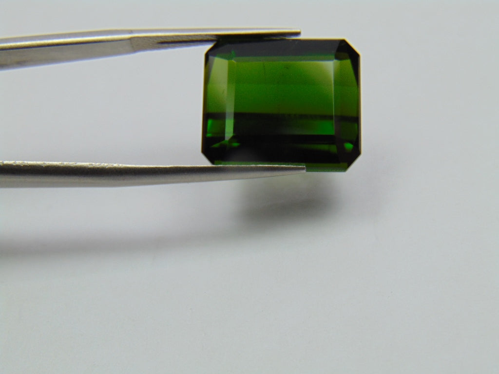 15.70ct Turmalina 16x14mm