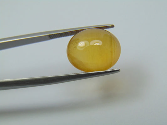 8.83ct Berilo Cabochão 14x12mm