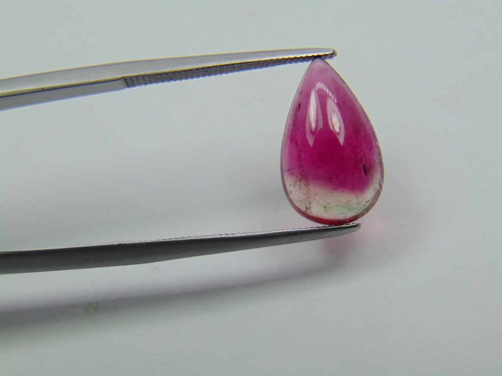 3.90ct Turmalina Bicolor 19x8mm