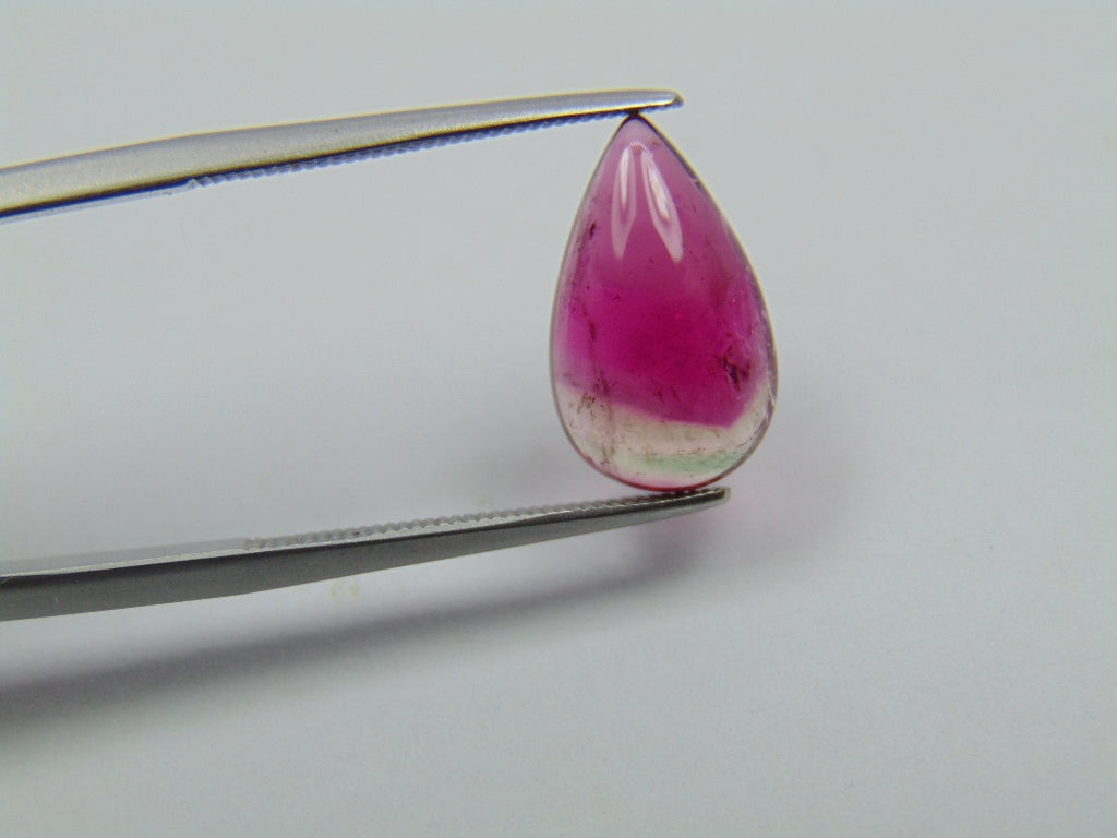 3.90ct Turmalina Bicolor 19x8mm