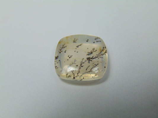 19.40ct Dendrita 19mm