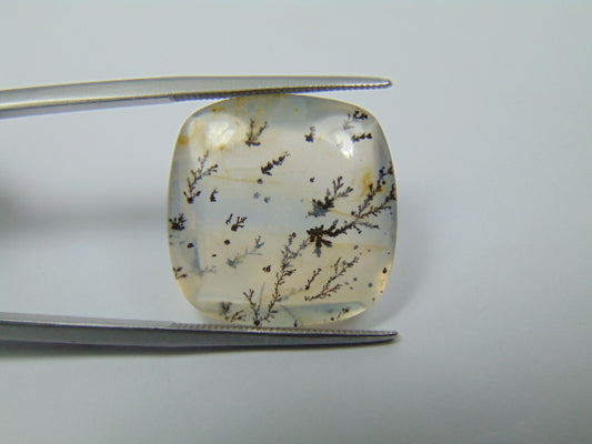 19.40ct Dendrita 19mm
