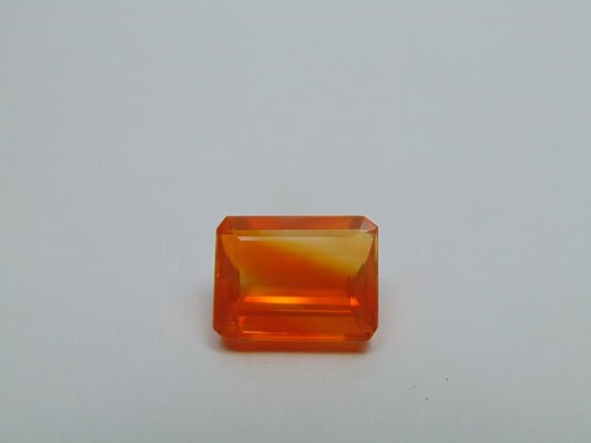 5.25ct Opala de fogo Bicolor 13x10mm