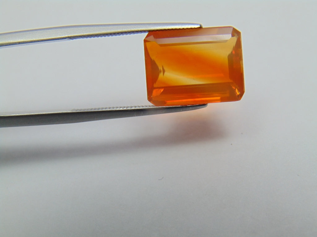 5.25ct Opala de fogo Bicolor 13x10mm