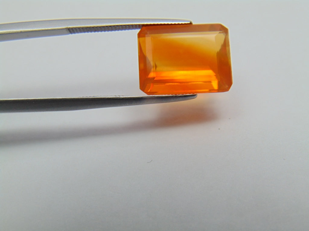 5.25ct Opala de fogo Bicolor 13x10mm