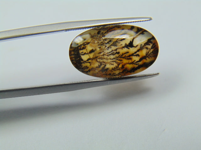7.60ct Dendrite 18x11mm