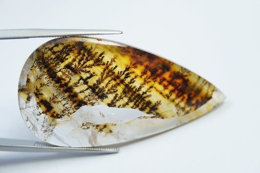 50ct Dendrita 46x23mm