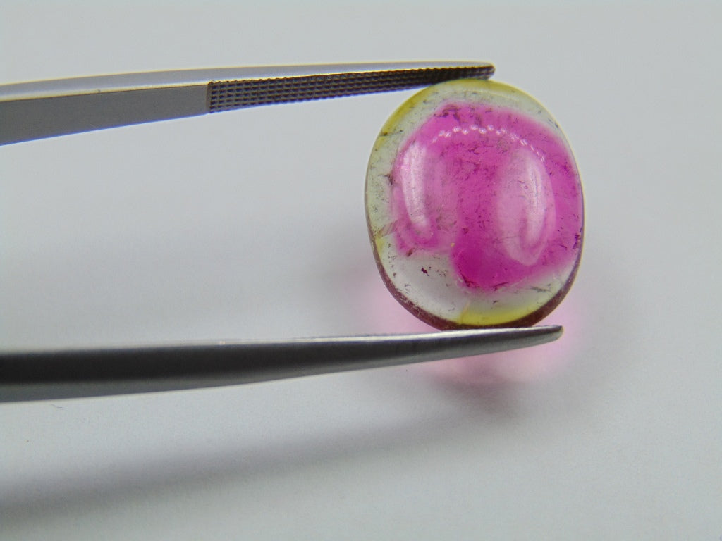 6ct Tourmaline Bicolor 17x13mm