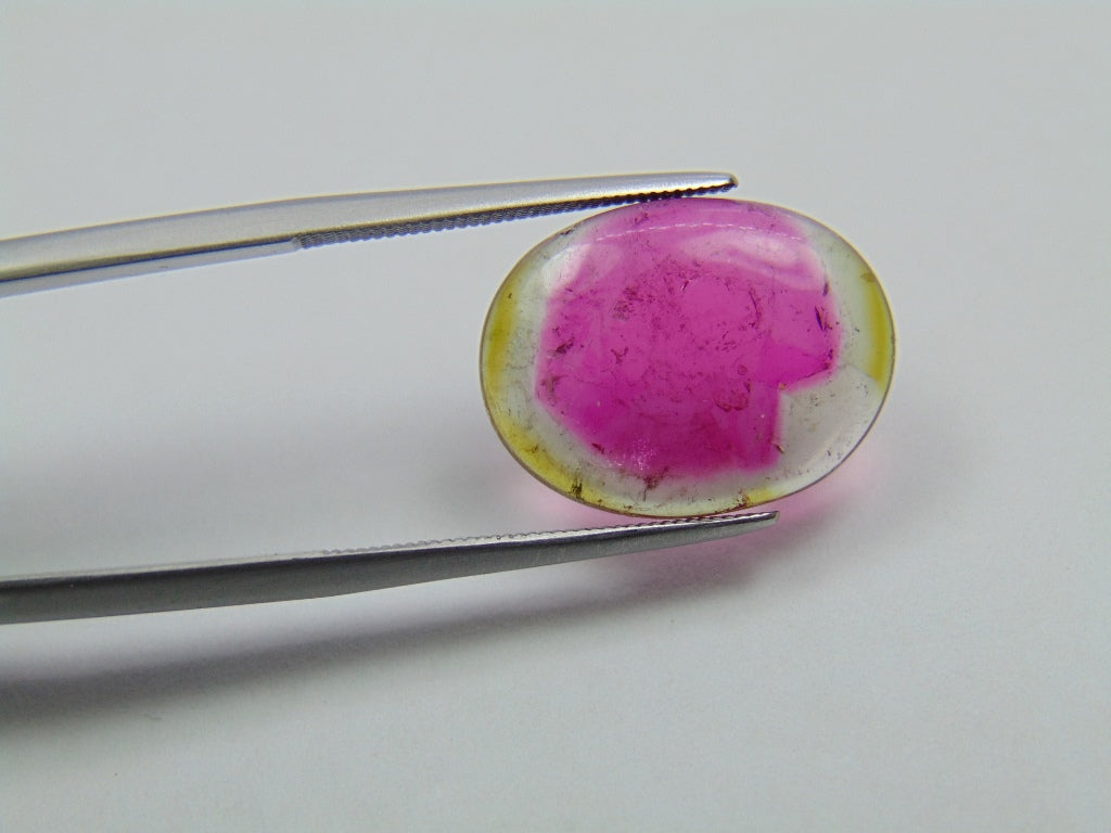 6ct Tourmaline Bicolor 17x13mm