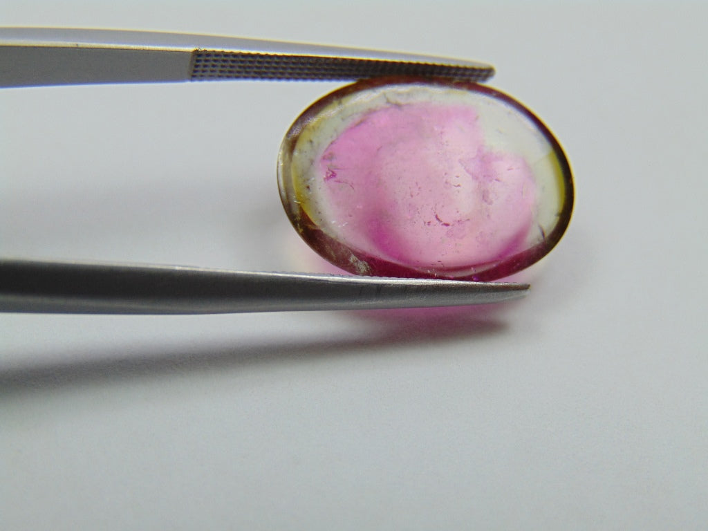 6ct Tourmaline Bicolor 17x13mm