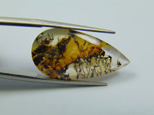 10.65ct Dendrita 25x12mm