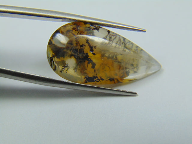 10.65ct Dendrita 25x12mm