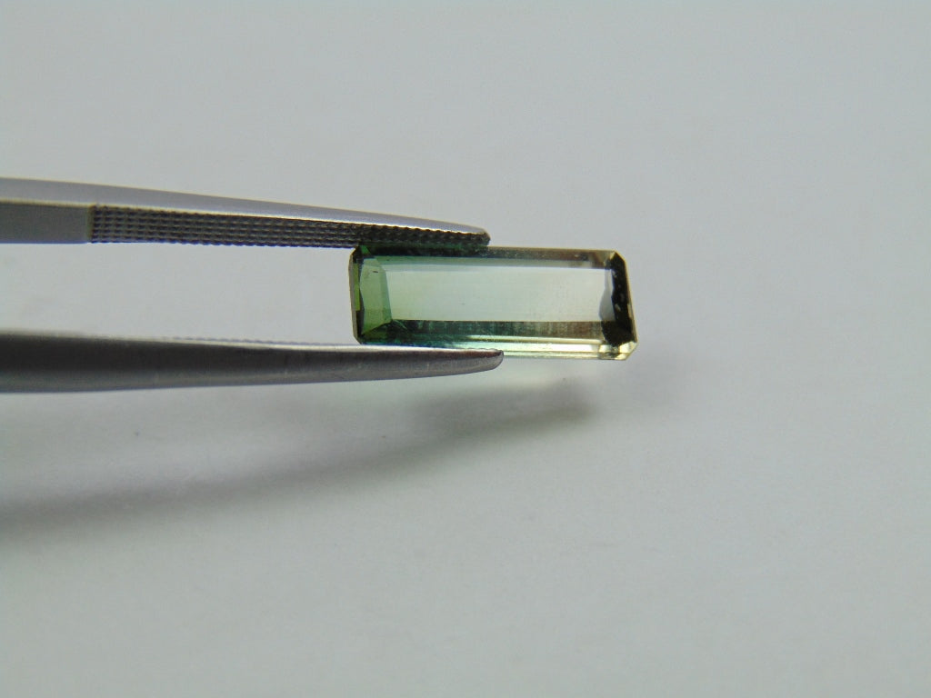 2.60ct Turmalina Bicolor 13x5mm