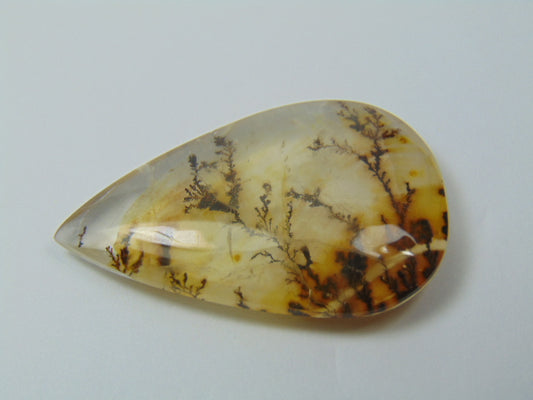 52.25ct Dendrita 41x26mm