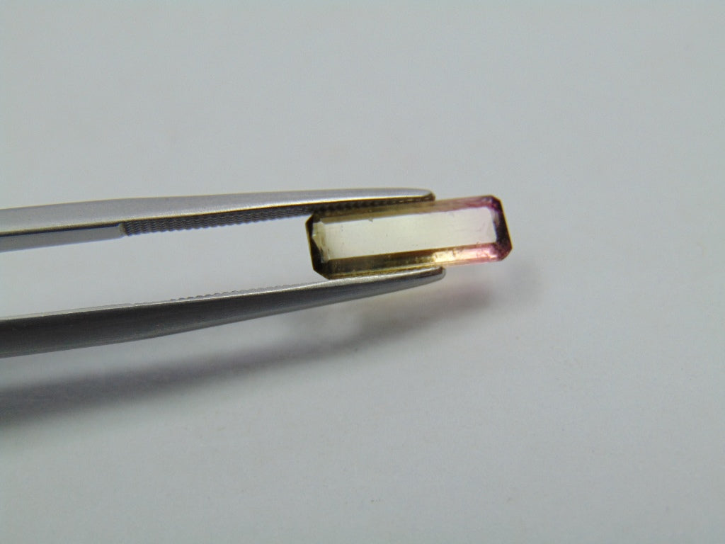 1.20ct Turmalina Bicolor 12x4mm