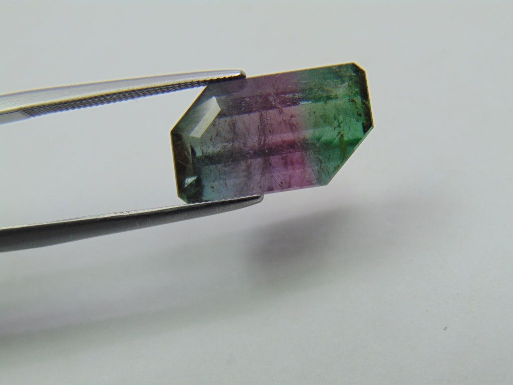 7.60ct Turmalina Bicolor 15x9mm