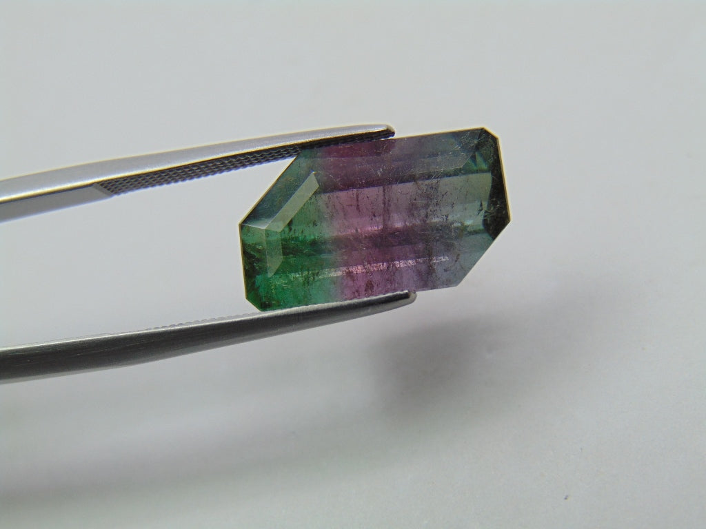 7.60ct Turmalina Bicolor 15x9mm