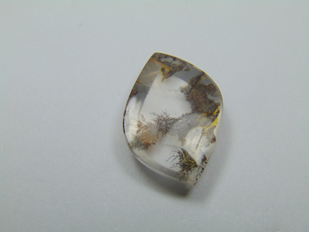 10.20ct Dendrita 21x15mm
