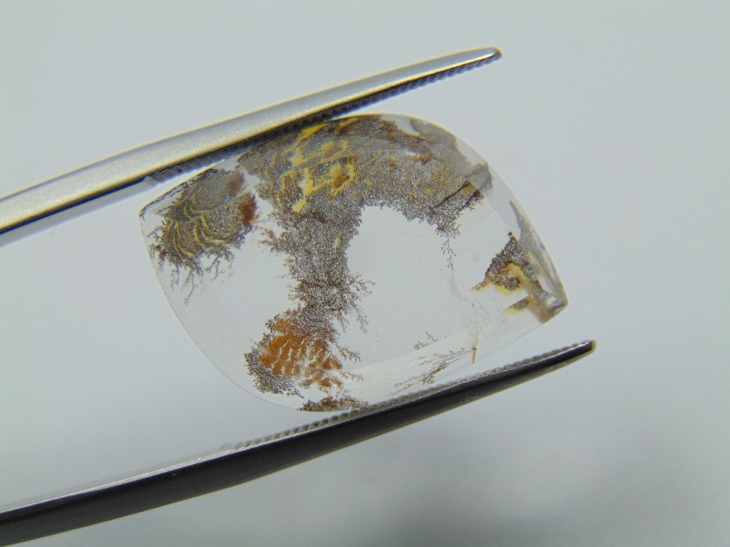 10.20ct Dendrita 21x15mm