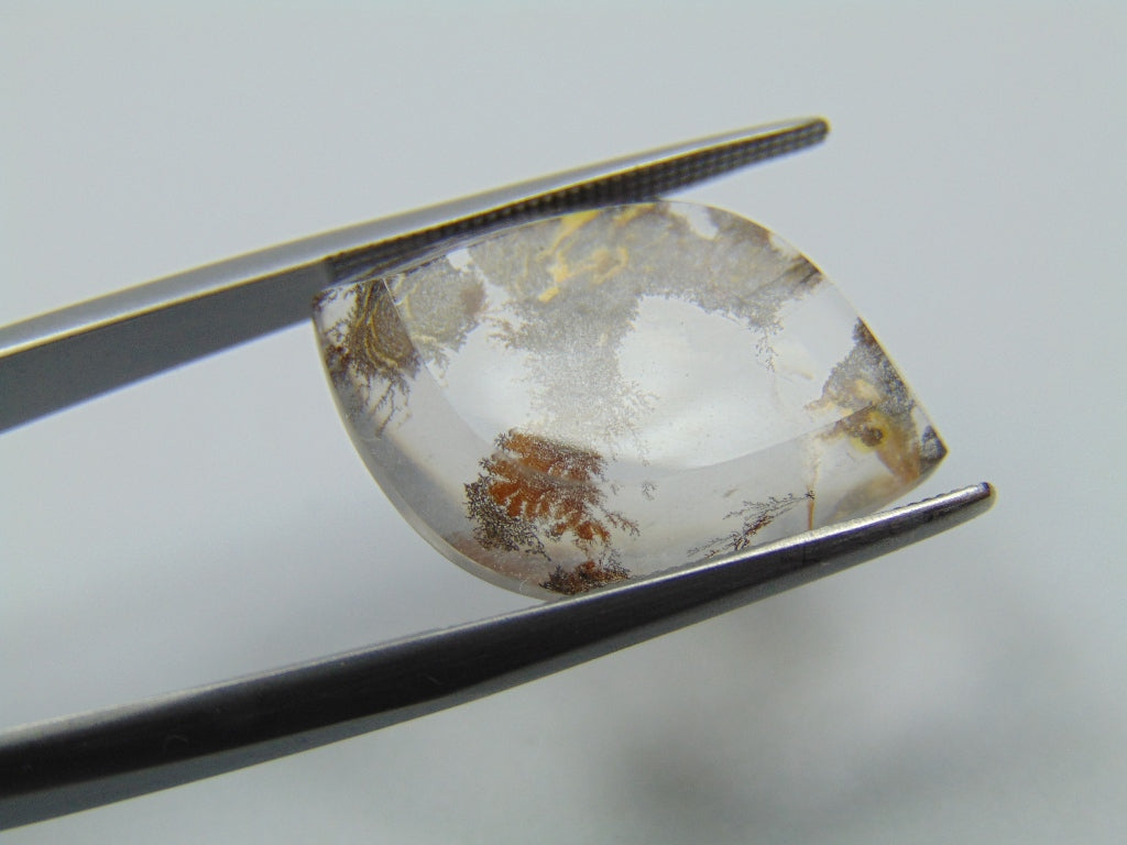 10.20ct Dendrita 21x15mm
