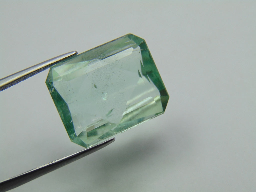 16.65ct Beryl Green 18x15mm