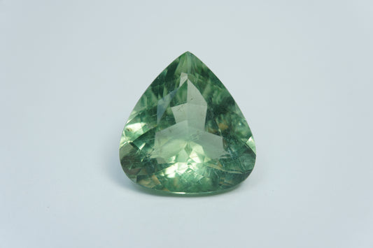 24.50ct Prasiolita 23x20mm