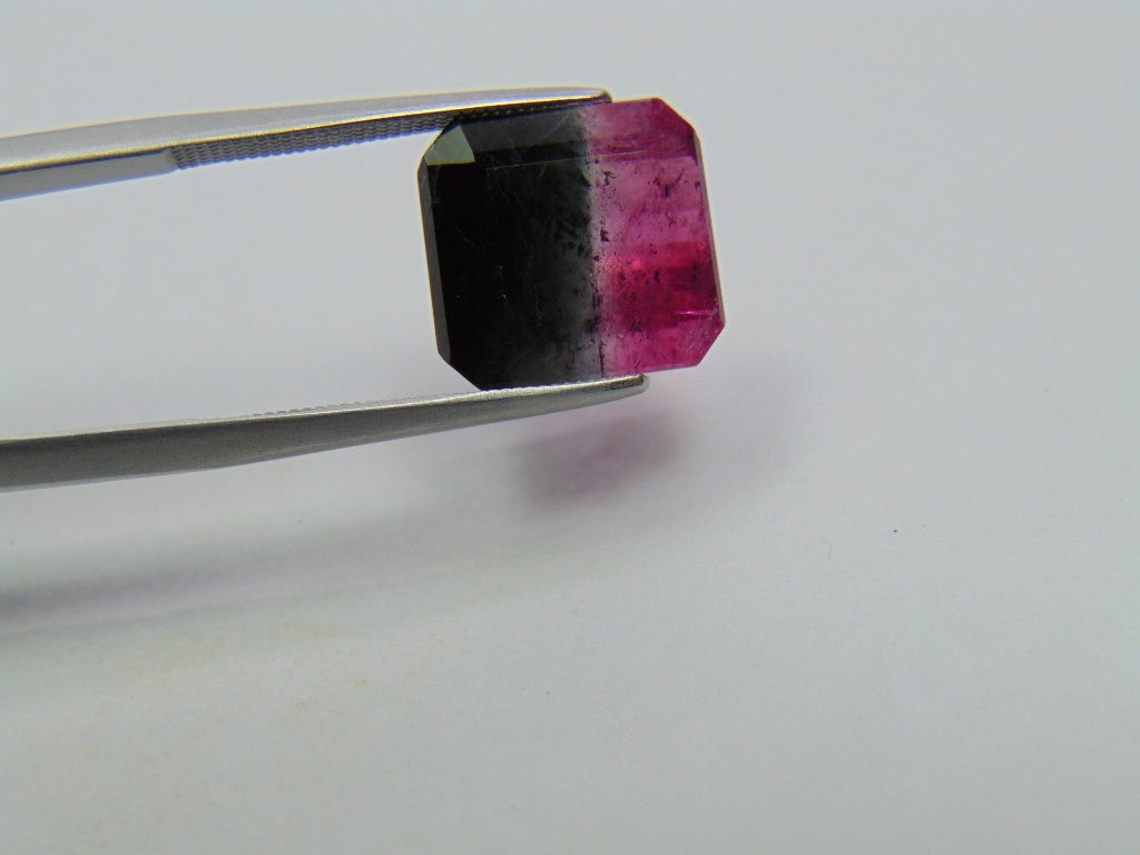 Turmalina Bicolor 8,15ct 12x11mm